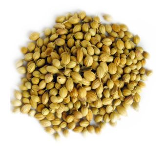 Sabut Dhania Masala 40gm