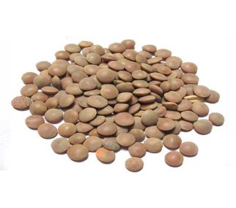 Daal Malka Masoor 1 kg