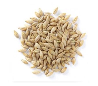 NEMAT FOOD JAOW 500GM(NF17)