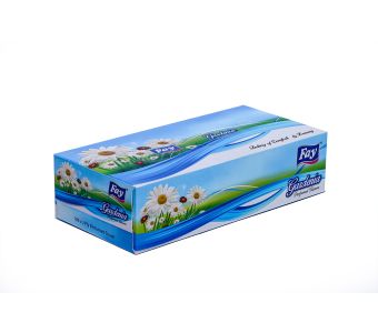 Fay Tissue Box Gardenia 100X2