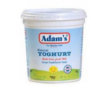Adams Plain Yoghurt 400G