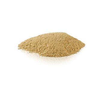Amchoor Powder 100g