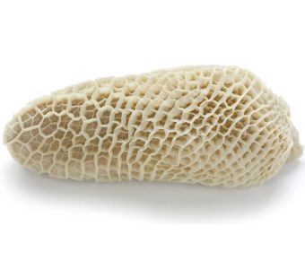 Fresh Mutton tripe / Ojhrri 1 piece