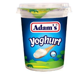 ADAM'S plain yogurt cup 400gm