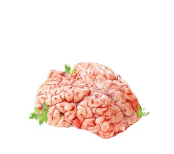 Fresh Beef Brain / Maghaz  (1/2) Kg