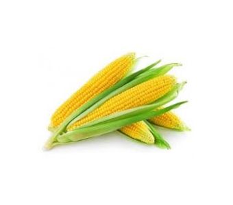 Corn / Challi Bhutta half(1/2) kg
