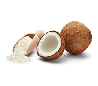 The Earth'S Coconut Flour 450G