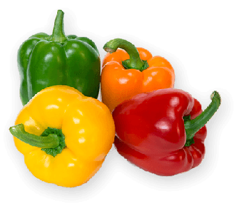 Colorfull Pepper / Shimla Mirch 1 Pcs