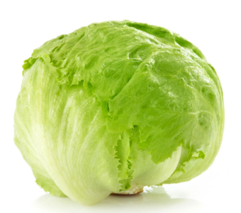 Iceberg Lettuce 1kg