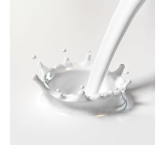 Dairy Milk/Open Milk Half (1/2) L