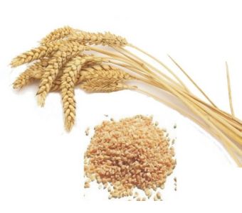 Dalia Wheat 500g