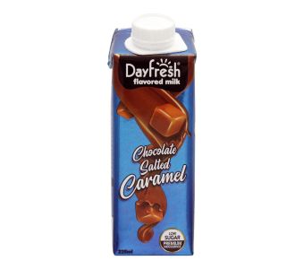 Day Fresh Chocolate Salted Caramel 225Ml