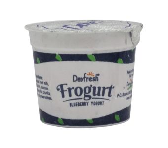 Day Fresh Flv Yogurt Blueberry