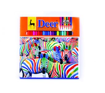 Deer Colour Pencils 24 pieces F/S
