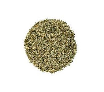 NEMAT - FOOD BAJRA 5KG(NF32)