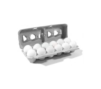 Healthy Eggs in Thermopol white Twelve Piece ( 12 pieces)