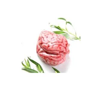 Fresh Beef Brain / Maghaz  (1/2) Kg
