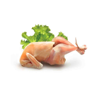 Desi Whole Chicken
