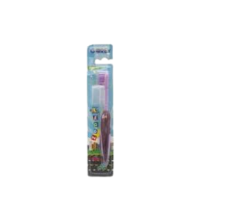 Gorey Tooth Brush Zoom