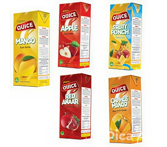 QUICE FRUIT DRINK 250ML 36 PACK