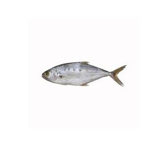 Sarim Fish 3kg