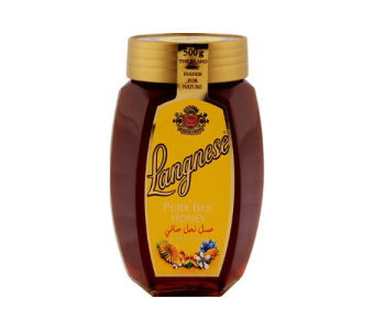 Langnese Honey 500G