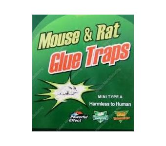 Mouse & Rat Glue Plank