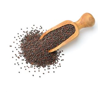 Black Mustard Seeds 100g