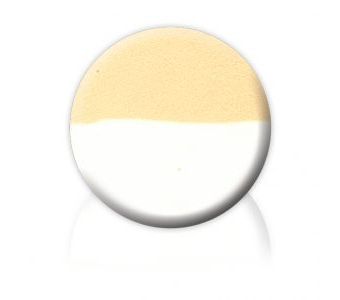 Color Institute Puff Double Shades Sh