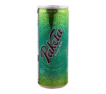 Pakola Icecream Soda Can 250Ml