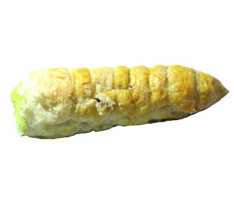 Cream Roll Pastry 1 Piece