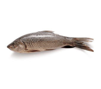 Rohu / Fish 2kg