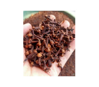 Long Cloves pouch 50g