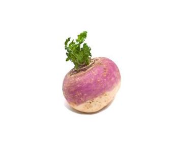 Fresh Turnip / Shalgam 1kg