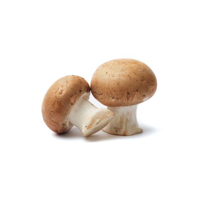 Mushrooms Per Packet