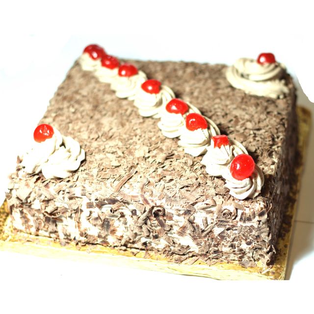 Chocolate Chip Cake 3 Pond