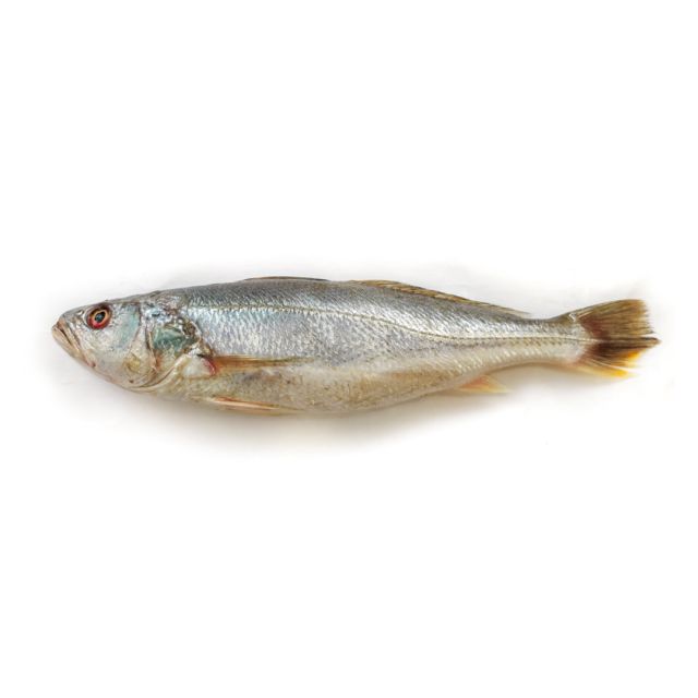 Croaker/ Mushka Fish 2kg