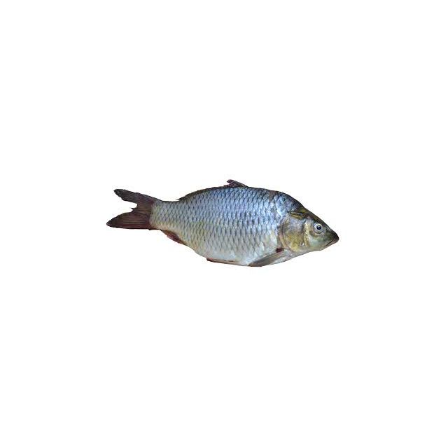 Sonab / Dart fish 2kg
