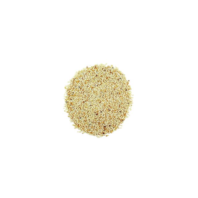 khash khash 100g