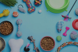 Buy Pet Other Items In Karachi
