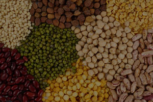Buy Daal beans online in Pakistan